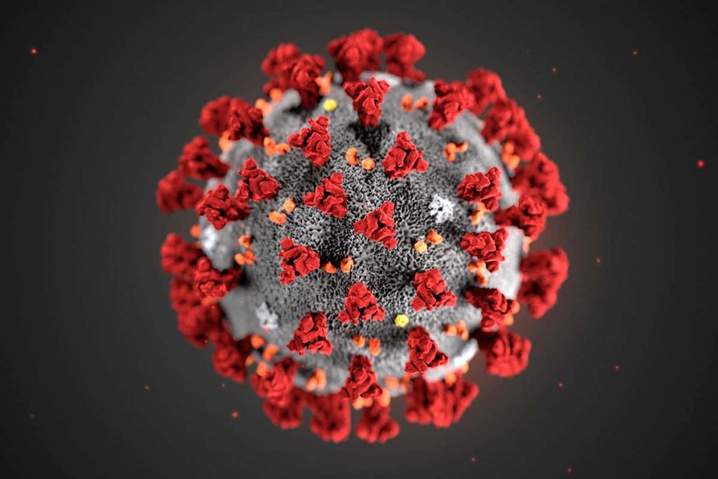 image of coronavirus CoVid19
